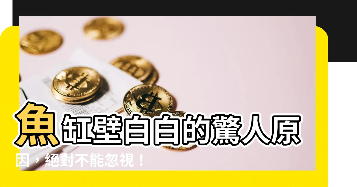 【魚缸壁白白的】魚缸壁白白的驚人原因，絕對不能忽視！