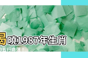 【1987五行】揭曉1987年生肖兔的五行命運！