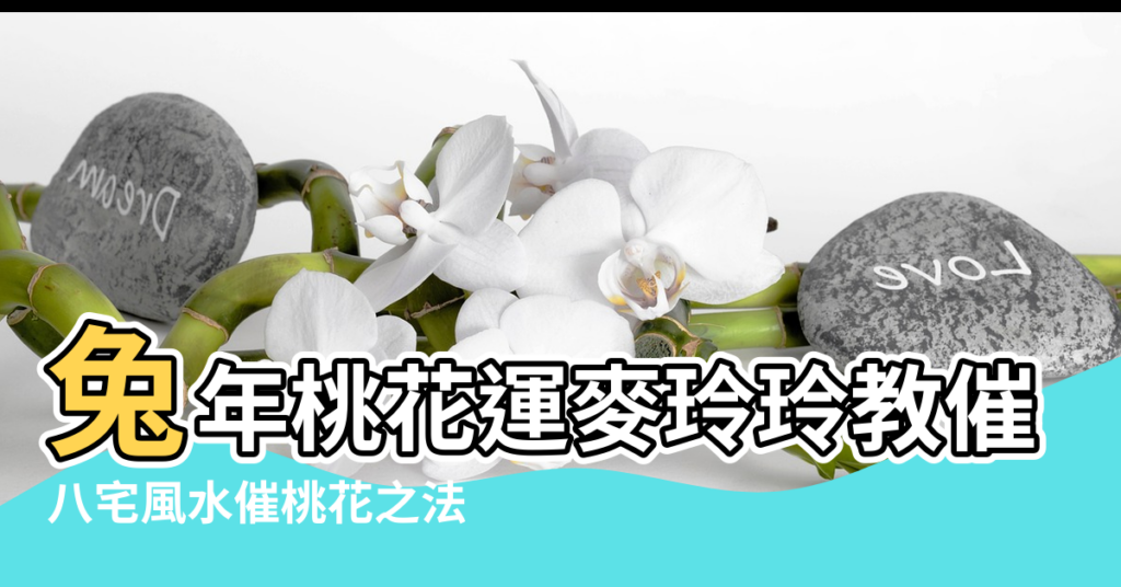 【風水催桃花法】兔年桃花運麥玲玲教催旺大法2023 |八宅風水催桃花之法 |教你幾招催旺桃花運的小妙招 |