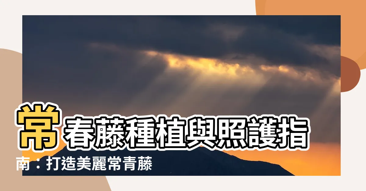 【常春藤種植】常春藤種植與照護指南：打造美麗常青藤盆景