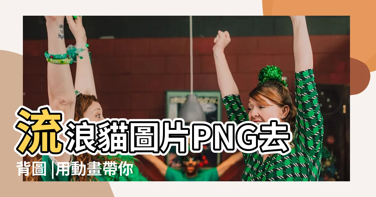 【卡通流浪貓】流浪貓圖片PNG去背圖 |用動畫帶你看 |被虐待的狗與流浪貓 |
