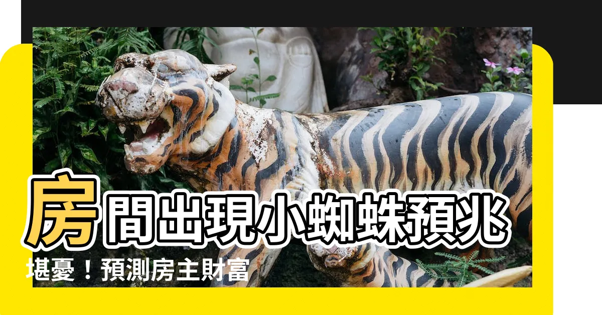 【房間有小蜘蛛風水】房間出現小蜘蛛預兆堪憂！預測房主財富健康情感運勢？