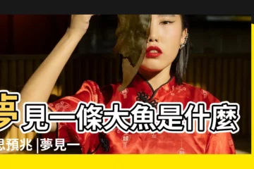 【做夢夢到一條花魚】夢見一條大魚是什麼意思預兆 |夢見一條大魚 |夢見一條大魚 |
