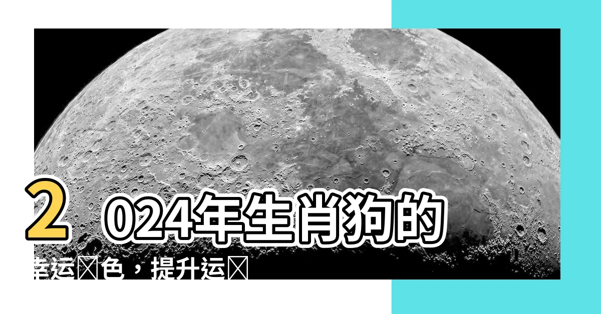 【生肖狗幸運顏色】2024年生肖狗的幸運顏色，提升運勢的黃色秘訣！