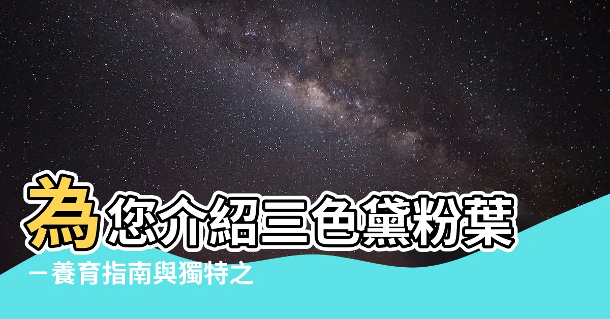 【三色黛粉葉】為您介紹三色黛粉葉－養育指南與獨特之處