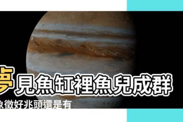 【夢見魚缸很多魚】夢見魚缸裡魚兒成羣，象徵好兆頭還是有玄機？
