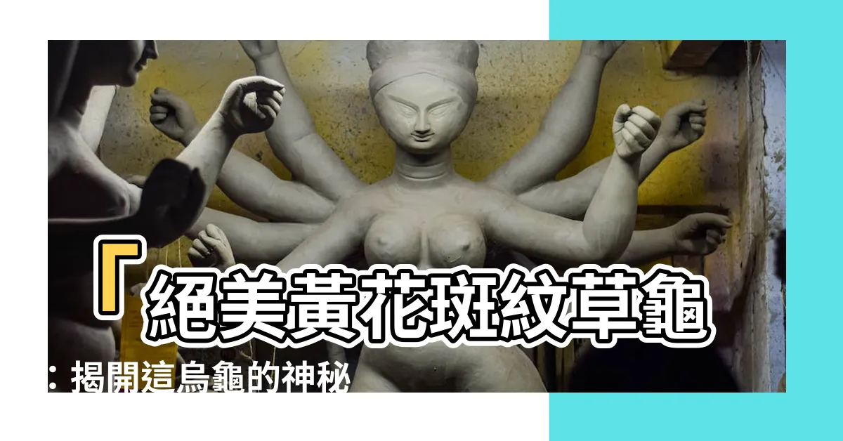 【黃花斑紋草龜】「絕美黃花斑紋草龜：揭開這烏龜的神秘奧秘」