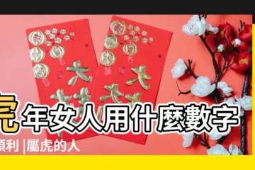 【生肖屬虎的吉祥數字是】虎年女人用什麼數字最順利 |屬虎的人一生幸運數字是什麼 |我的幸運數是那幾個 |