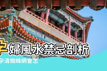 【懷孕能到蜘蛛】孕婦風水禁忌剖析 |懷孕清蜘蛛網會怎麼樣嗎 |