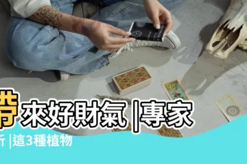 【客廳陽台擺什麼植物】帶來好財氣 |專家解析 |這3種植物擺客廳 |