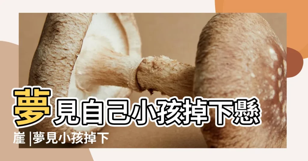 夢見自己小孩掉下懸崖 |夢見小孩掉下懸崖 |夢見小孩懸崖掉下去了 |【夢見陌生小孩摔下懸崖】