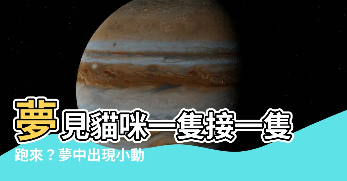 【夢見一窩小貓】夢見貓咪一隻接一隻跑來？夢中出現小動物的寓意大解密〜