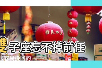 【雙子男分手不刪合照】雙子座忘不掉前任 |是很容易挽回的 |雙子男請進 |