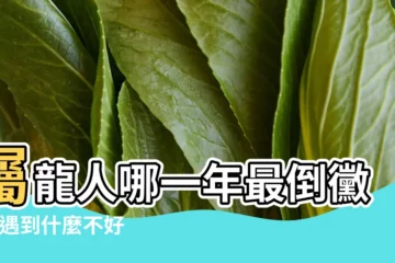 【屬龍的遇什麼年不好】屬龍人哪一年最倒黴 |會遇到什麼不好的事情 |2023年屬龍犯太歲化解方法 |