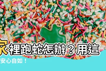 【家裡跑蛇】家裡跑蛇怎辦？用這4招安心自如！