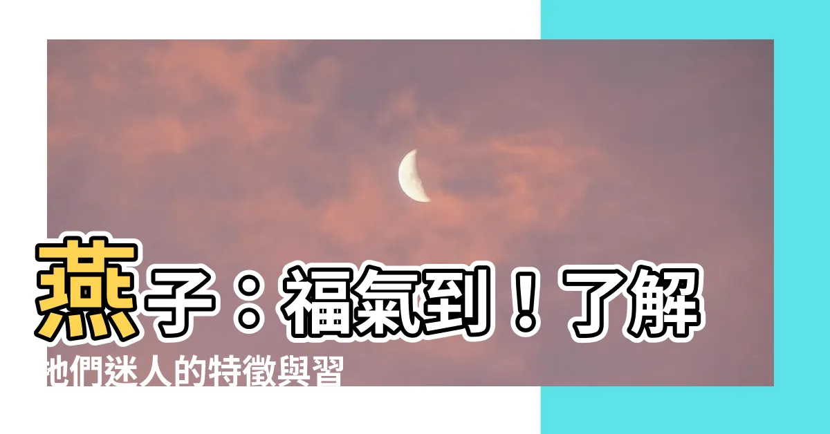【燕子的特徵】燕子：福氣到！瞭解牠們迷人的特徵與習性
