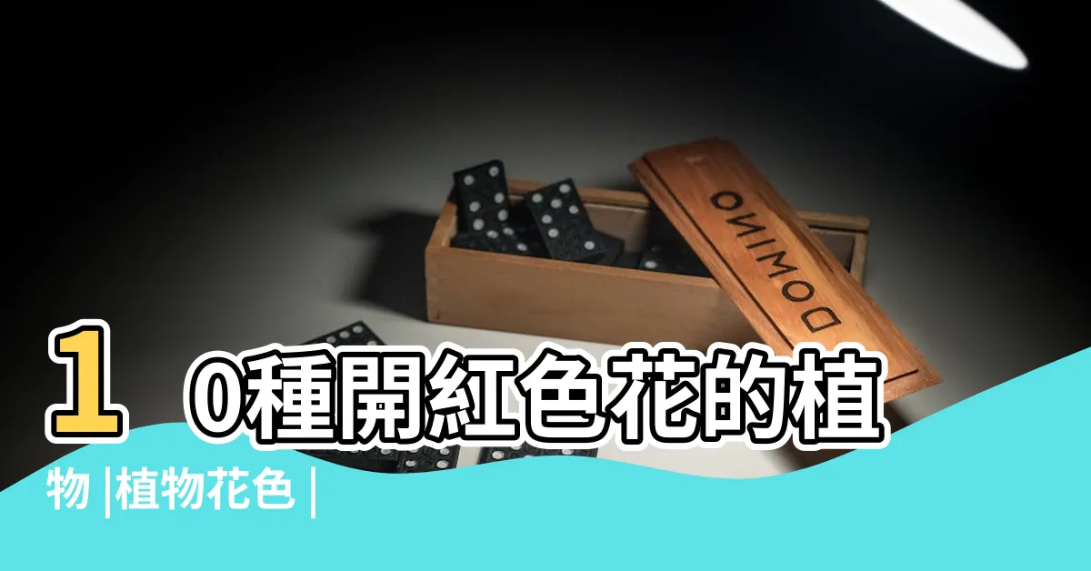 【紅色小花植物】10種開紅色花的植物 |植物花色 |