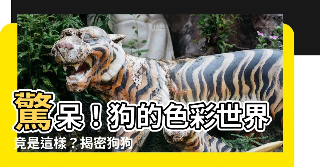 【狗 顏色】驚呆！狗的色彩世界竟是這樣？揭密狗狗看到的真實顏色
