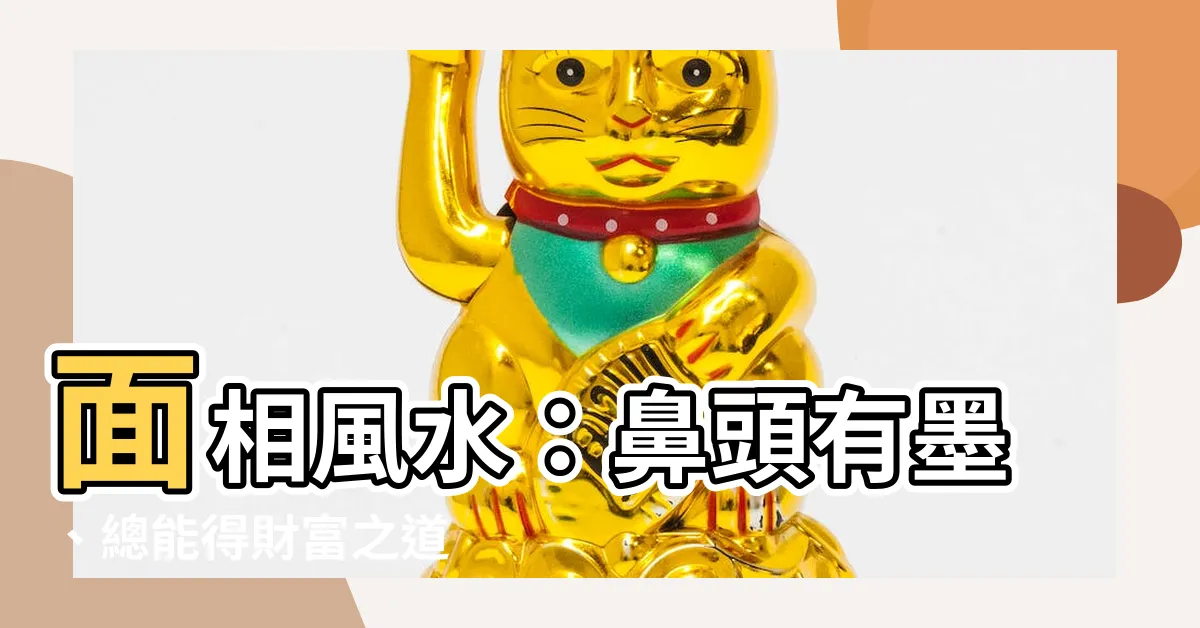 【鼻頭有墨】面相風水：鼻頭有墨、總能得財富之道