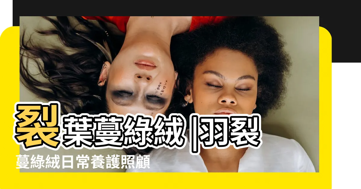 【羽裂蔓綠絨】裂葉蔓綠絨 |羽裂蔓綠絨日常養護照顧方法 |羽裂蔓綠絨 |