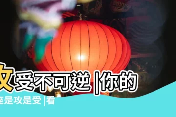 【什麼星座是霸氣攻】攻受不可逆 |你的星座是攻是受 |看完我的少女心都要 |
