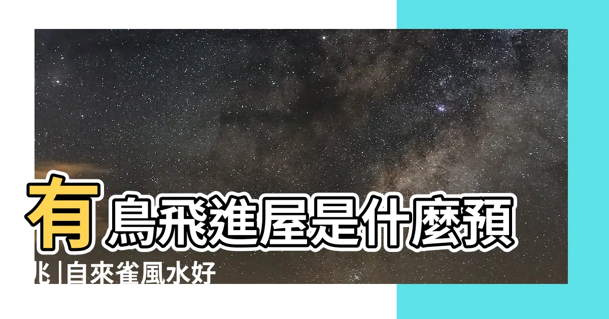 【鳥飛 入 屋 風水】有鳥飛進屋是什麼預兆 |自來雀風水好 |屋企有自來鳥搞唔掂 |