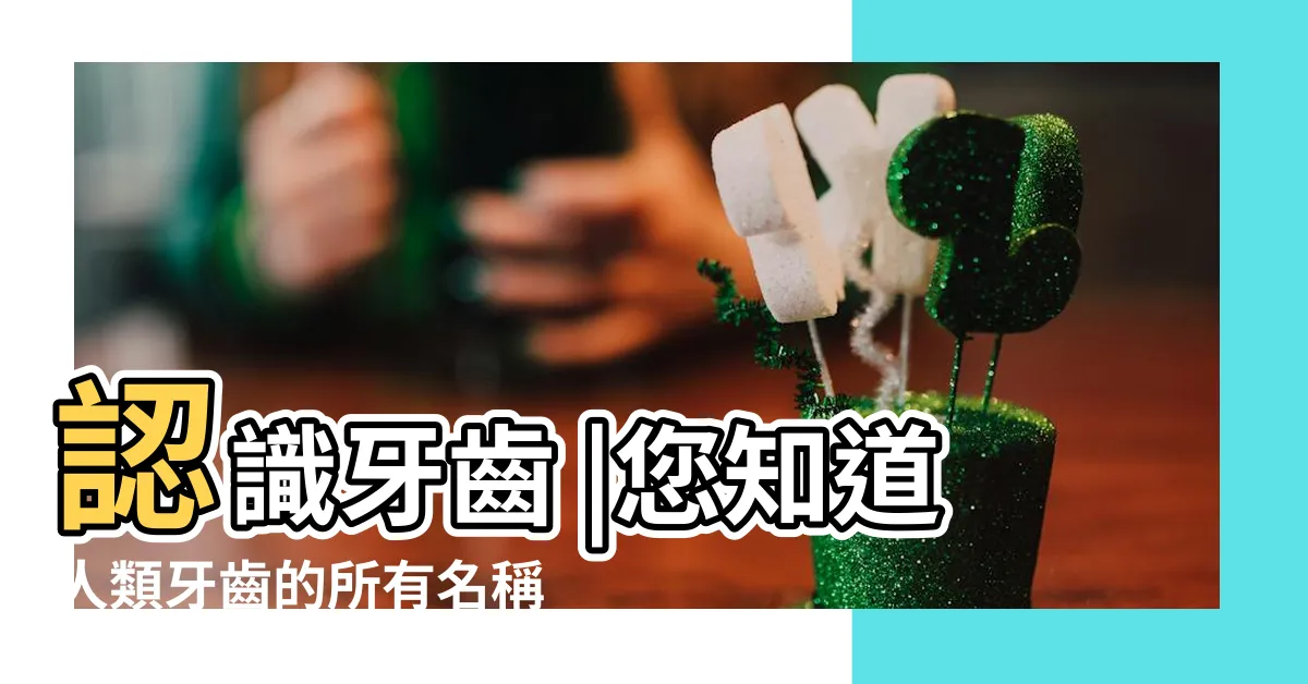 【牙齒門牙】認識牙齒 |您知道人類牙齒的所有名稱嗎 |