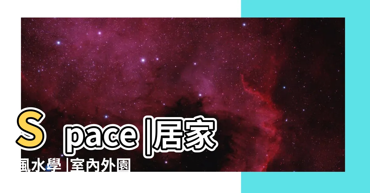 【仙人掌可以養在室內嗎】Space |居家風水學 |室內外園藝中必不可少的龍骨仙人掌 |