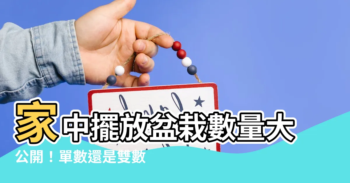 【盆栽數量】家中擺放盆栽數量大公開！單數還是雙數？