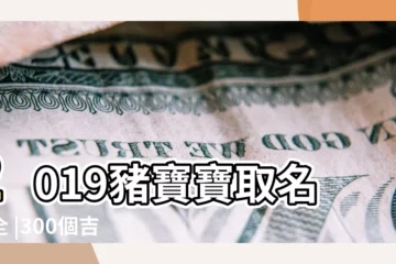 【2019豬寶寶富貴名字】2019豬寶寶取名大全 |300個吉祥好聽的男寶寶名字寶典 |2019豬寶寶男孩名字大全 |