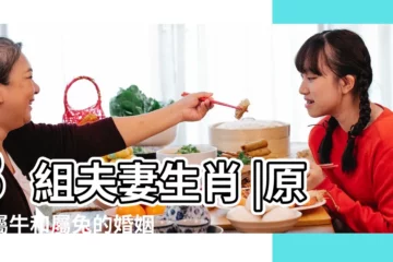 【屬兔與屬牛配】3組夫妻生肖 |原創屬牛和屬兔的婚姻相配嗎屬兔和屬牛的最佳婚配是誰 |屬牛和屬兔的婚姻如何兔和牛的婚姻相配嗎 |