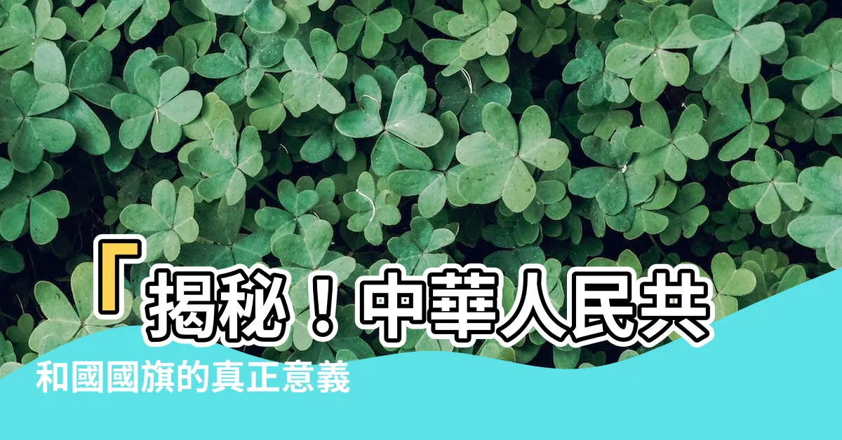 【中國國旗 意思】「揭秘！中華人民共和國國旗的真正意義竟然如此驚人！」