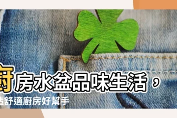 【廚房水盆】廚房水盆品味生活，打造舒適廚房好幫手