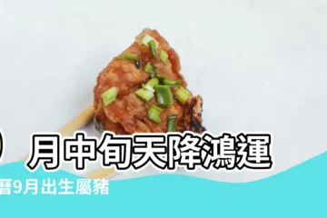 【9月的豬的命運好不好】9月中旬天降鴻運 |農曆9月出生屬豬人命好嗎 |財富自由不是夢 |