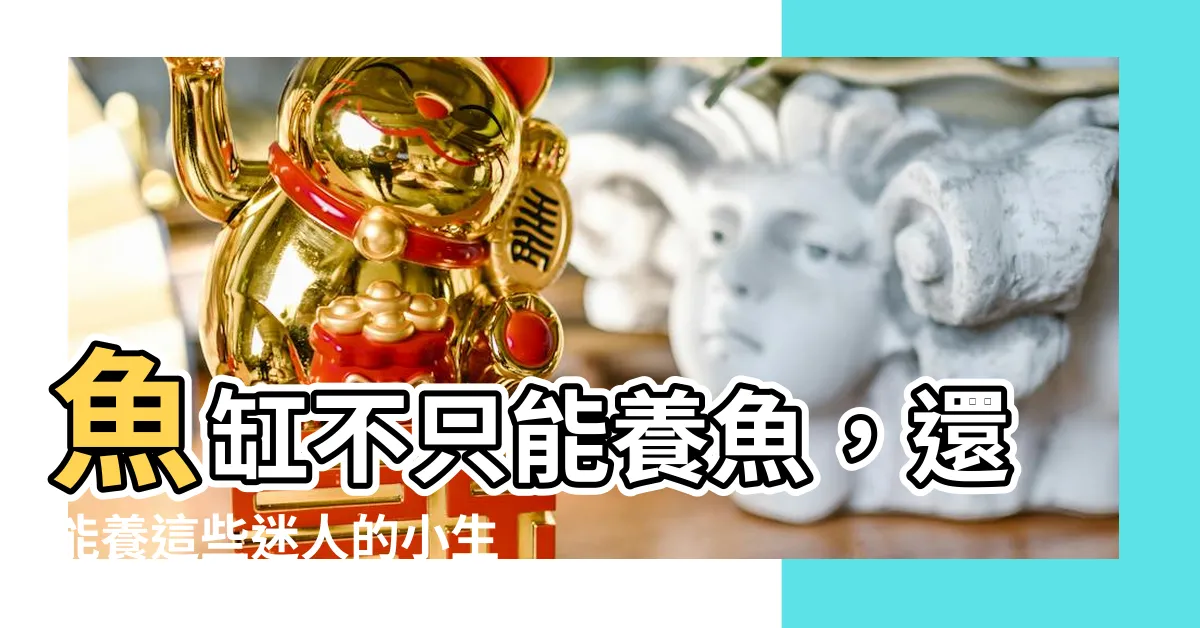 【魚缸不養魚可以養什麼】魚缸不只能養魚，還能養這些迷人的小生物！
