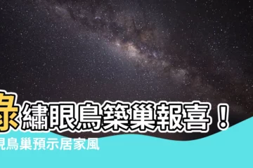 【綠繡眼風水】綠繡眼鳥築巢報喜！驚現鳥巢預示居家風水絕佳？