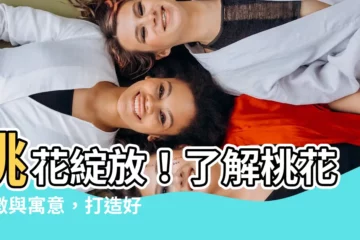 【桃花寓意】桃花綻放！瞭解桃花象徵與寓意，打造好桃花運！