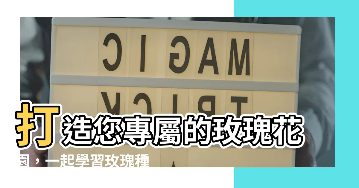 【玫瑰 種】打造您專屬的玫瑰花園，一起學習玫瑰種植的訣竅