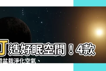 【房間盆栽】打造好眠空間！4款房間盆栽淨化空氣、助你安穩入夢