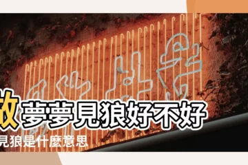 【周公解夢大全查詢夢狼】做夢夢見狼好不好 |夢見狼是什麼意思有什麼預兆 |