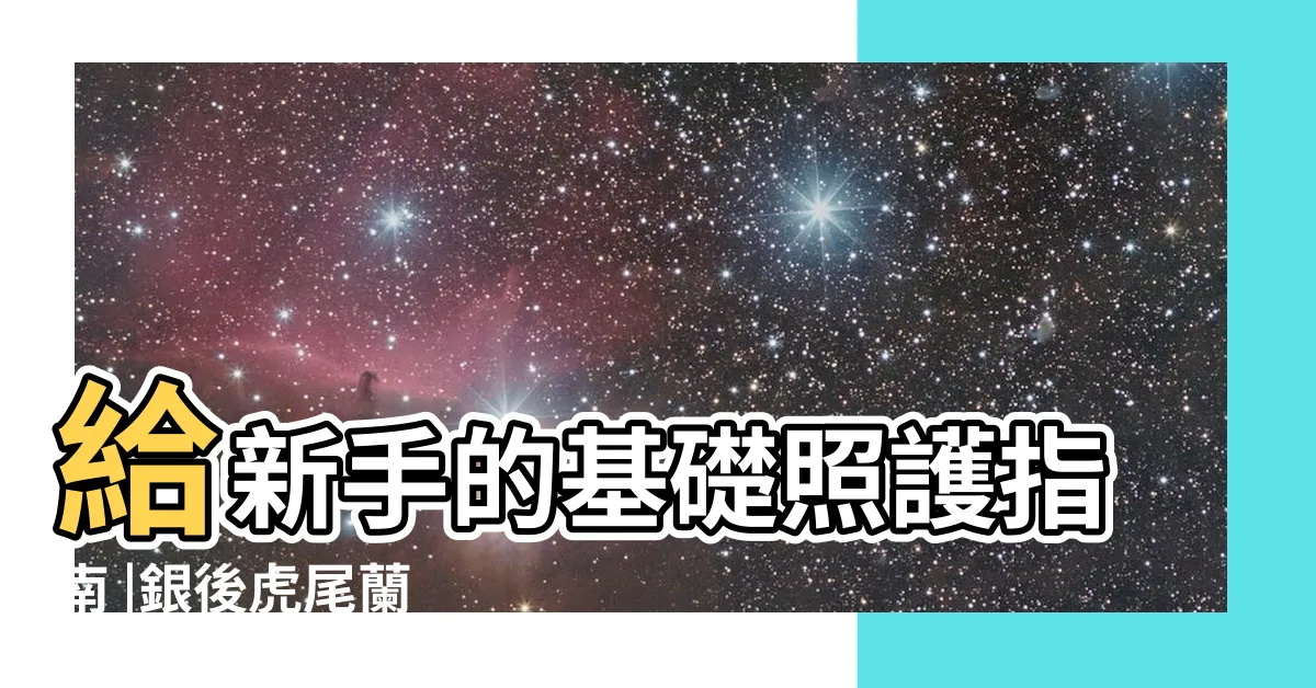 【銀後虎尾蘭 照顧】給新手的基礎照護指南 |銀後虎尾蘭 |多肉圖鑑 |