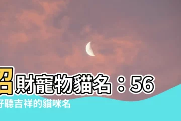 【招財寵物名貓】招財寵物貓名：56款好聽吉祥的貓咪名字，喵喵召喚財富