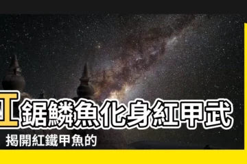 【紅鐵甲魚】紅鋸鱗魚化身紅甲武士！揭開紅鐵甲魚的驚人秘密