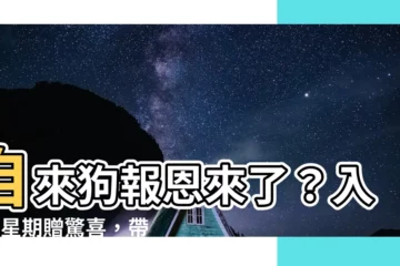 【自來狗】自來狗報恩來了？入住1星期贈驚喜，帶財招福徵求新主人