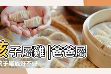 【爸爸屬雞孩子屬狗相剋】孩子屬雞 |爸爸屬狗孩子屬雞好不好 |媽屬雞兒子屬狗相剋嗎 |