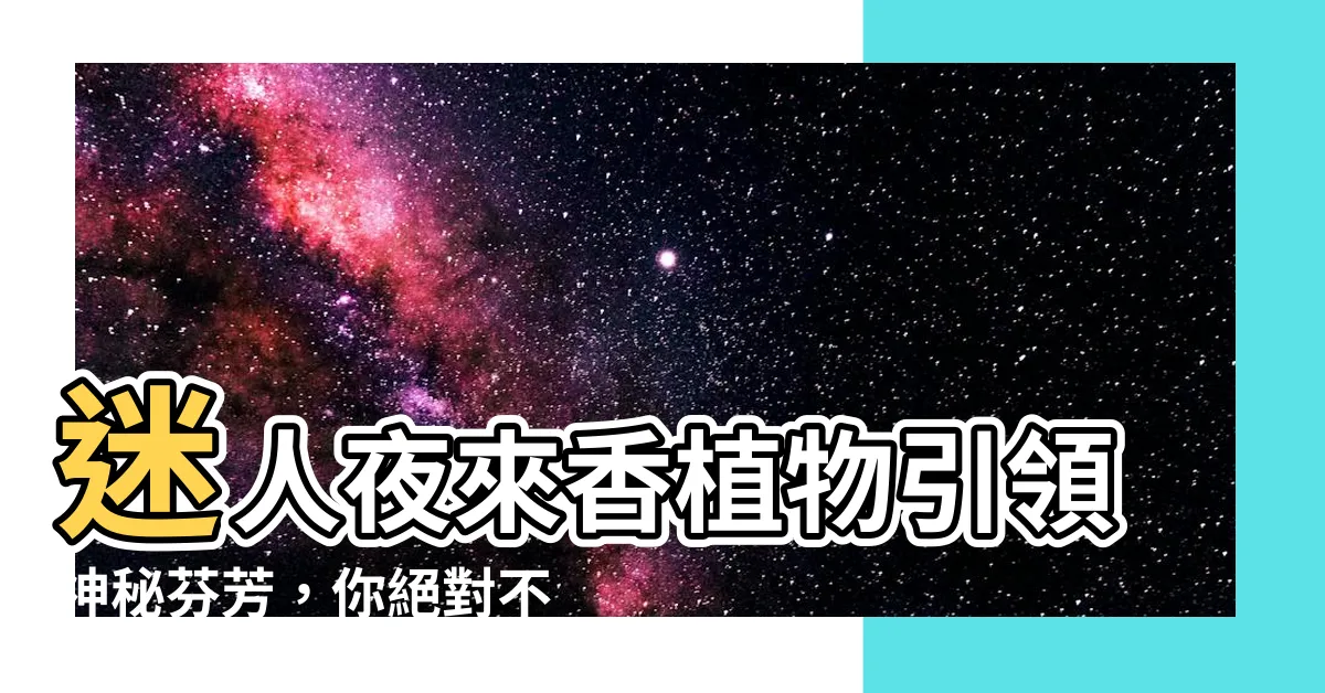 【夜來香植物】迷人夜來香植物引領神秘芬芳，你絕對不可錯過！