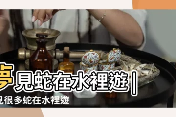 【周公解夢 蛇在水中游】夢見蛇在水裡遊 |夢見很多蛇在水裡遊 |夢見蛇在水中 |