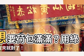 【綠色皮夾招財】想要荷包滿滿？用綠色皮夾就對了！