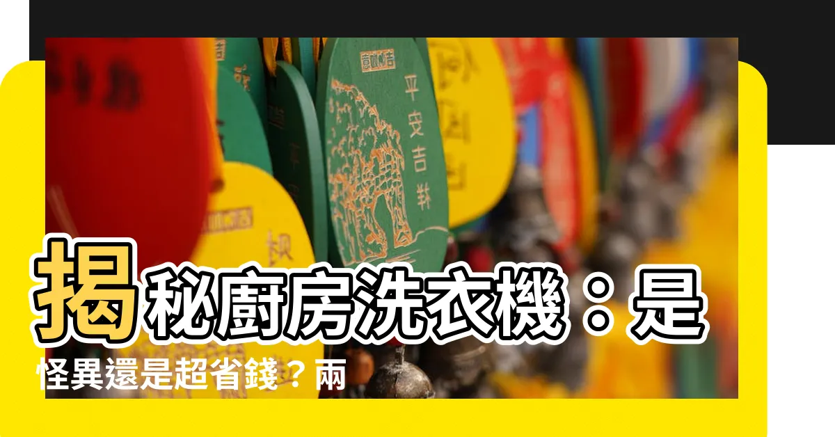 【廚房放洗衣機】揭秘廚房洗衣機:是怪異還是超省錢?兩大真相大公開!