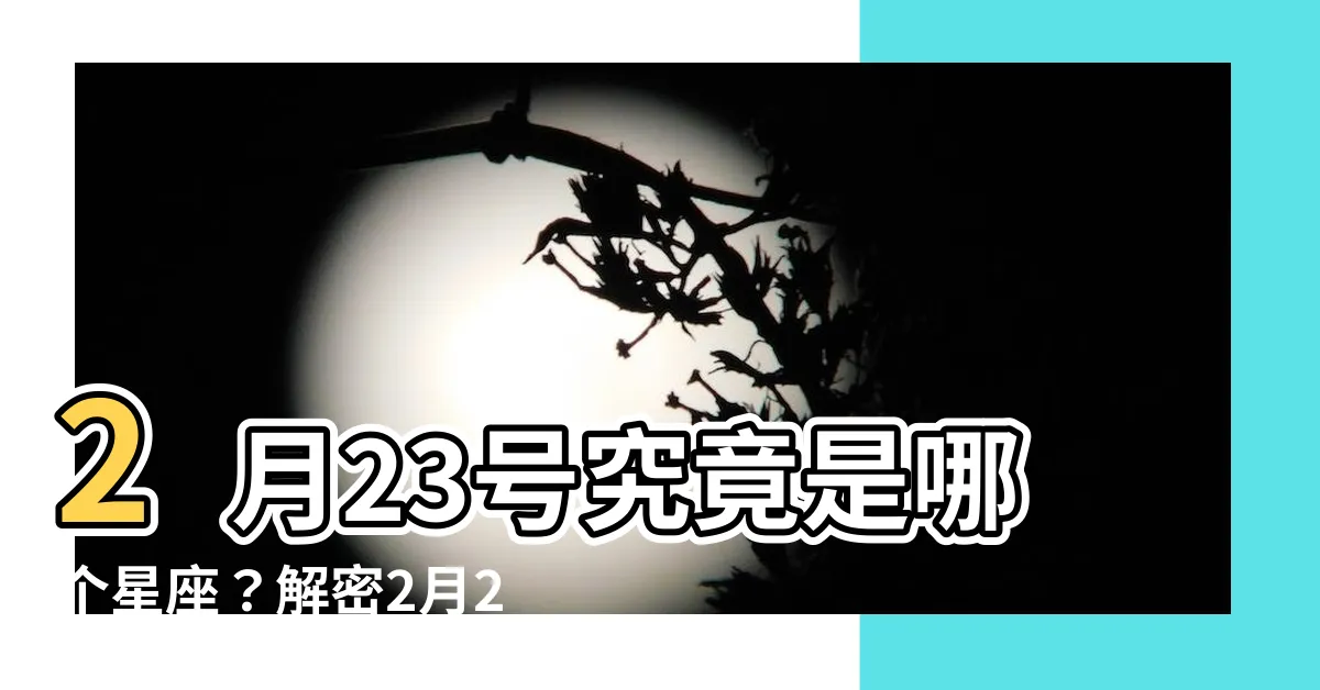 【2月23號是什麼星座】2月23號究竟是哪個星座？解密2月23號星座背後的秘密！